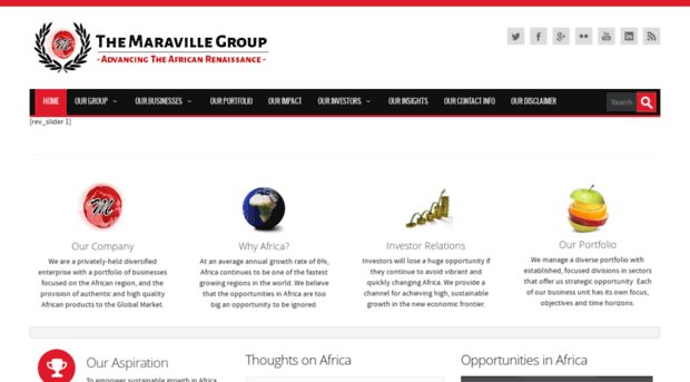 maravillegroup.com