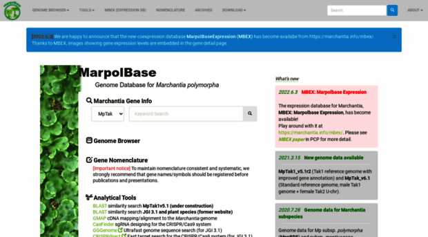 marchantia.info