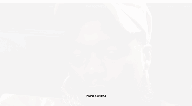 marcopanconesi.com