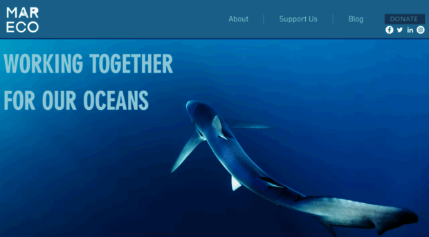 mareco.org.uk