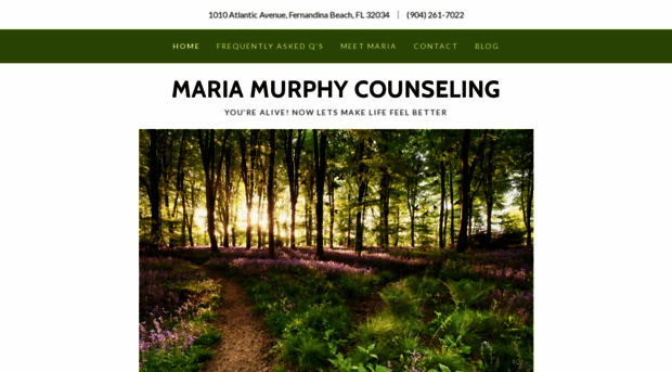 mariamurphycounseling.com