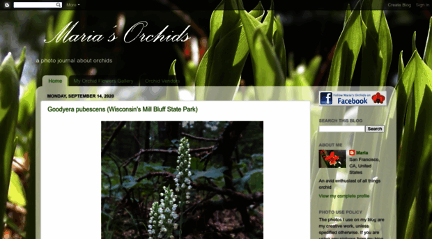 mariasorchids.blogspot.com.br