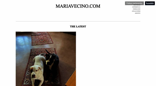 mariavecino.com