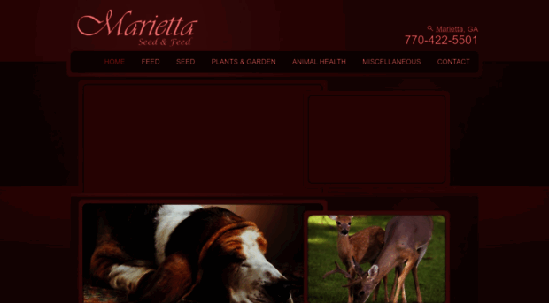 mariettafeedandseed.com