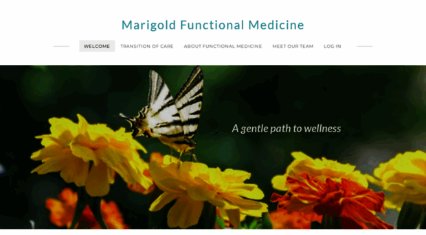 marigoldfunctionalmedicine.com