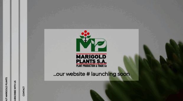 marigoldplants.gr