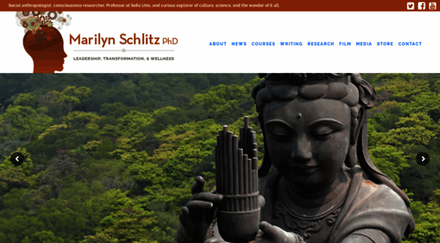 marilynschlitz.com