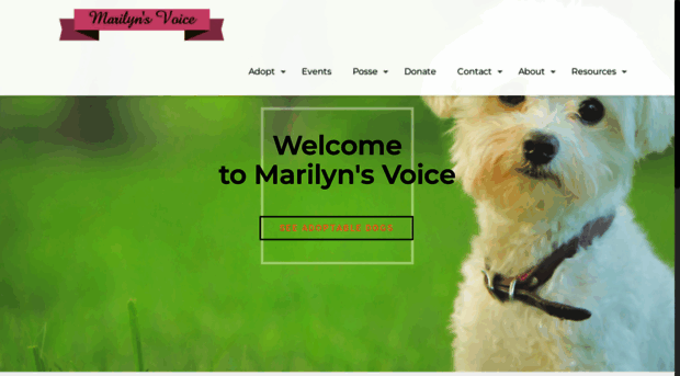 marilynsvoice.org