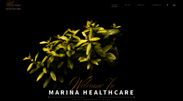 marinahealthcare.com