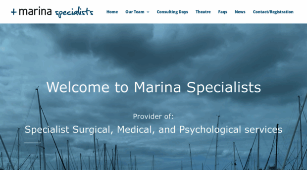 marinaspecialists.co.nz