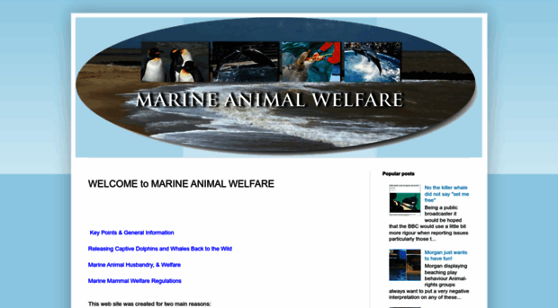 marineanimalwelfare.blogspot.com