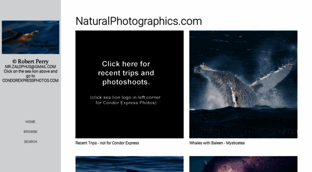 marinebiophotography.com