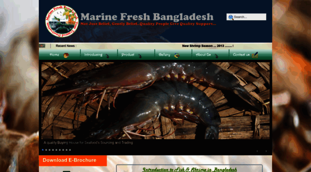 marinefreshbd.com