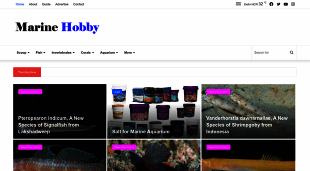 marinehobby.com