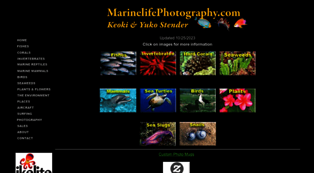 marinelifephotography.com