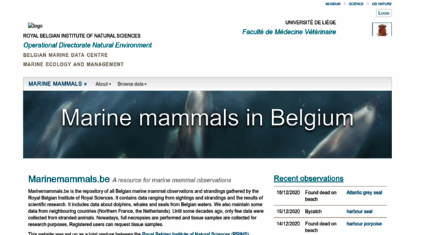 marinemammals.be