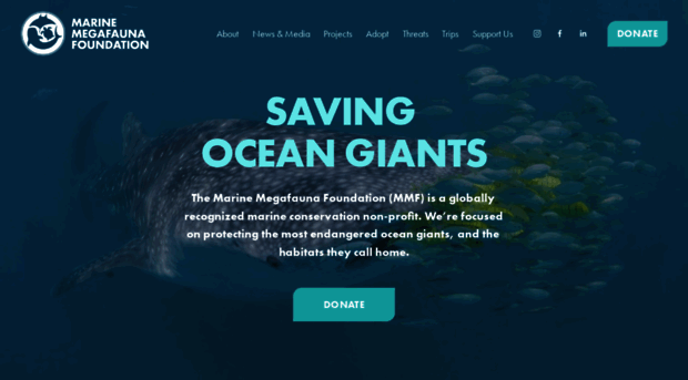 marinemegafauna.org