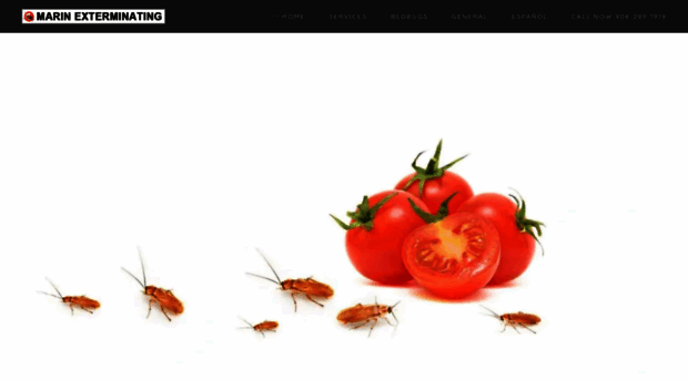 marinexterminators.com