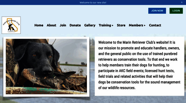 marinretrieverclub.com