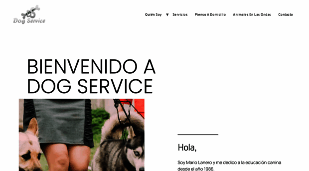 mariolanerodogservice.com