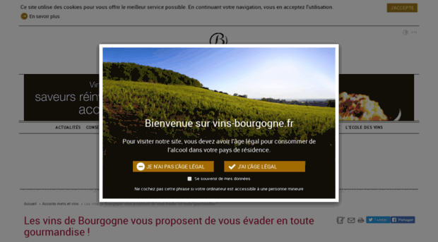 marionsles.vins-bourgogne.fr