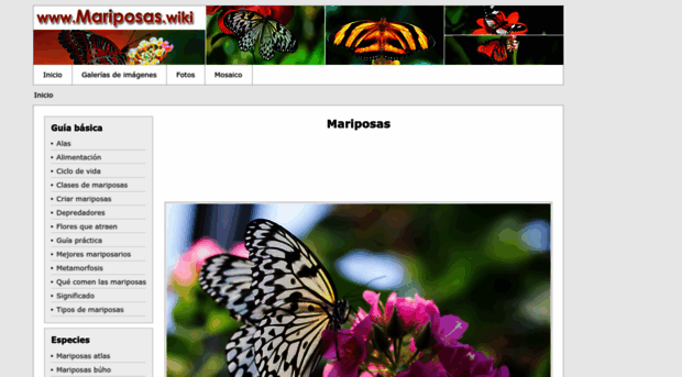 mariposas.wiki