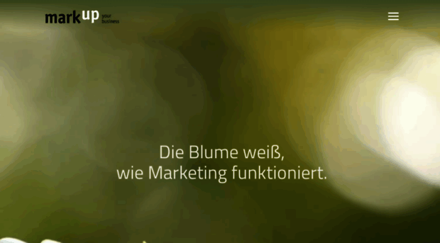 mark-up.de