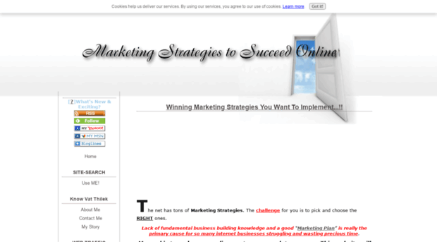 marketing-strategies-to-succeed-online.com