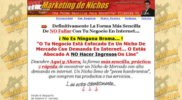 marketingdenichos.com