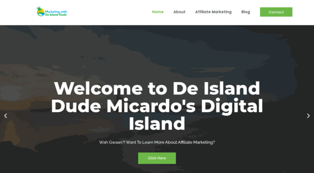 marketingwithislanddude.com