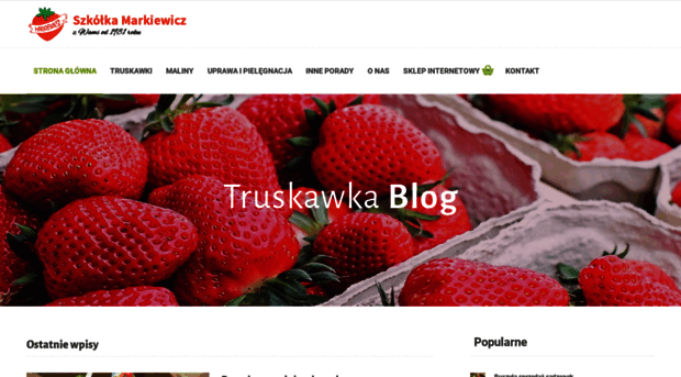 markiewicz.com.pl
