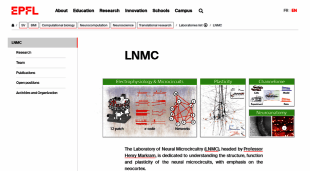 markram-lab.epfl.ch