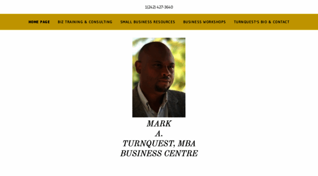 markturnquestconsulting.com