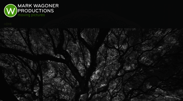 markwagoner.com