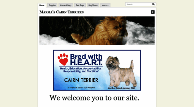 marmascairnterriers.com