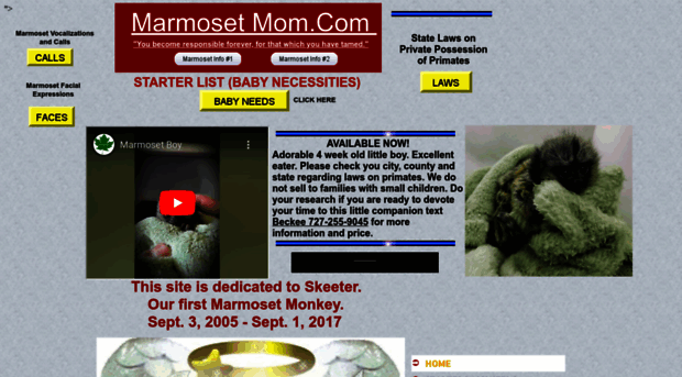 marmosetmom.com