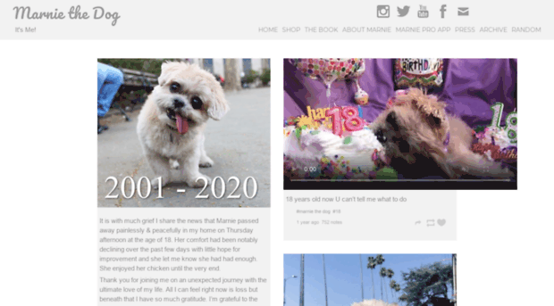 marniethedog.com