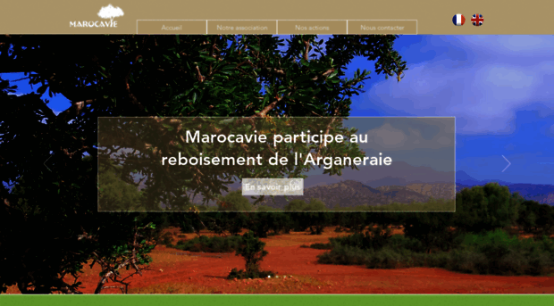 marocavie.org