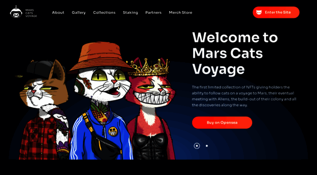 marscatsvoyage.com