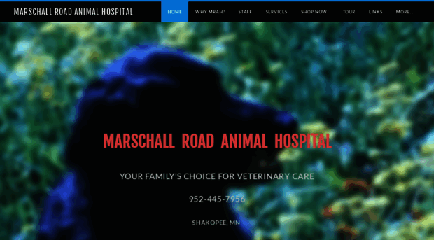 marschallroadvet.com