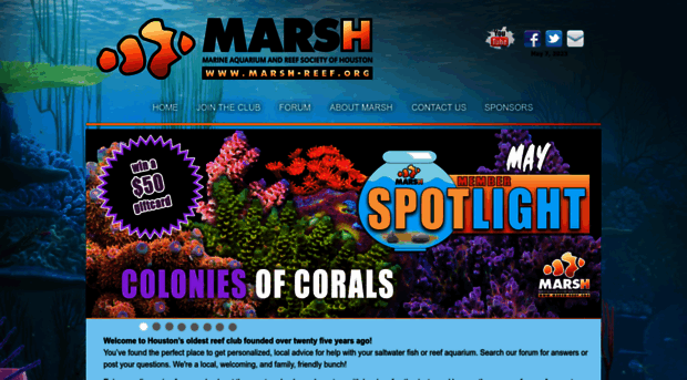 marsh-reef.org