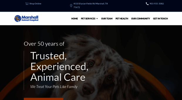 marshallanimalhospital.com