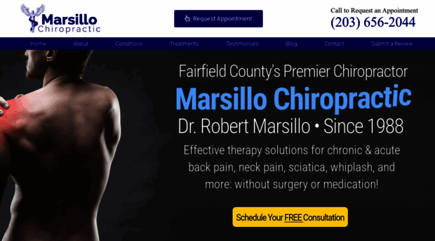 marsillochiropractic.com