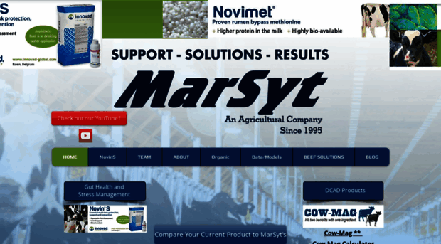 marsyt.com