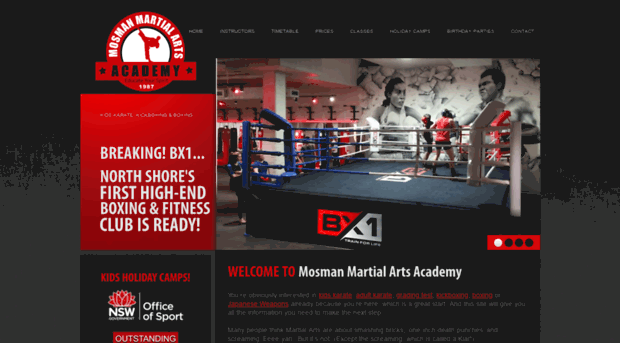 martialartsacademy.com.au