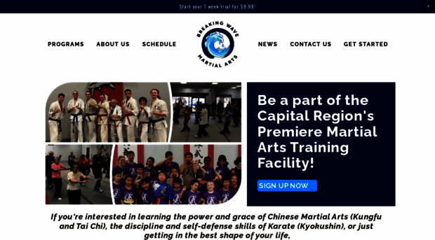 martialartsalbany.com