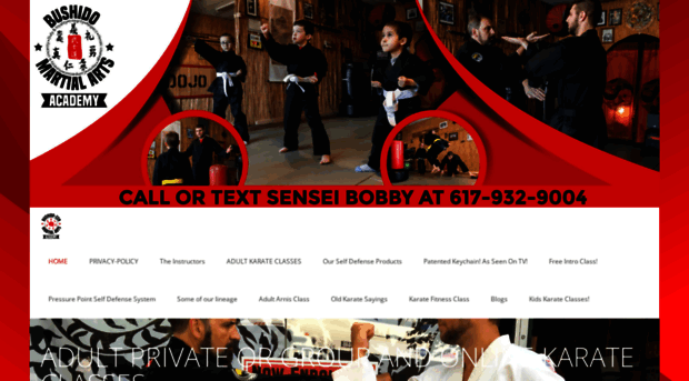 martialartsbelmontma.com