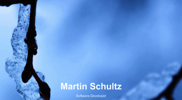 martin-schultz.de