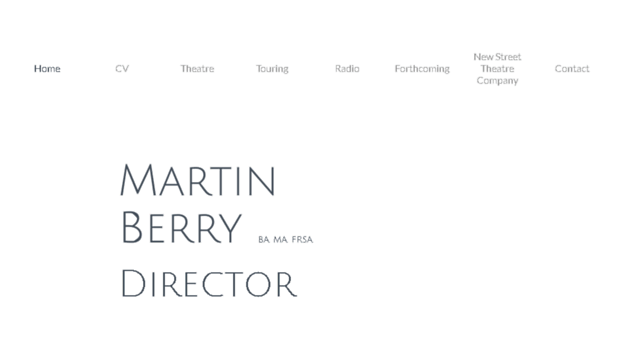 martinberrydirector.com