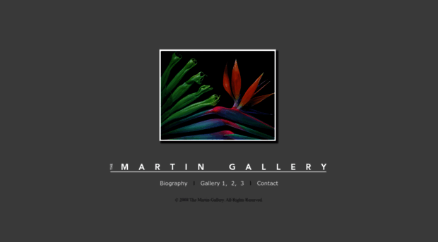 martingallery.com